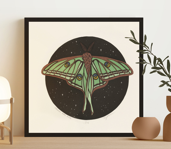 "Spanish Moon Moth" - Taylor Cox